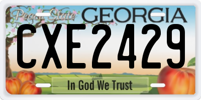 GA license plate CXE2429