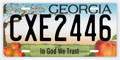 GA license plate CXE2446