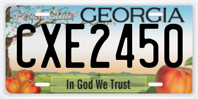 GA license plate CXE2450