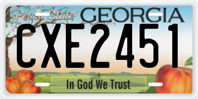 GA license plate CXE2451