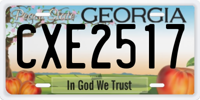 GA license plate CXE2517