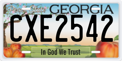 GA license plate CXE2542