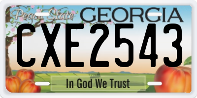 GA license plate CXE2543