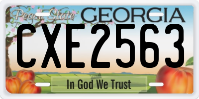 GA license plate CXE2563