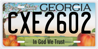 GA license plate CXE2602