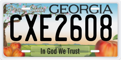 GA license plate CXE2608