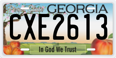 GA license plate CXE2613