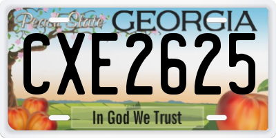 GA license plate CXE2625