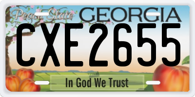 GA license plate CXE2655