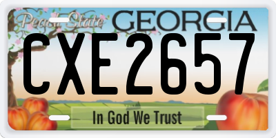 GA license plate CXE2657