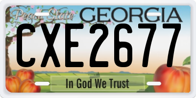 GA license plate CXE2677