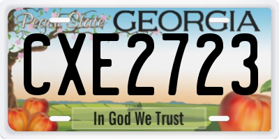 GA license plate CXE2723
