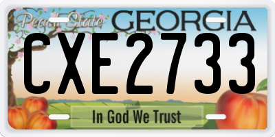 GA license plate CXE2733