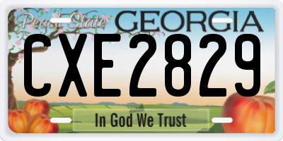 GA license plate CXE2829