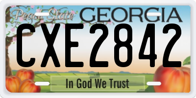 GA license plate CXE2842