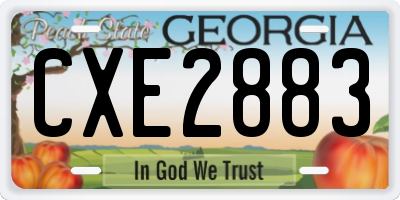 GA license plate CXE2883