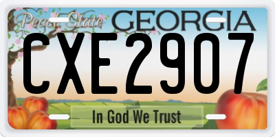 GA license plate CXE2907