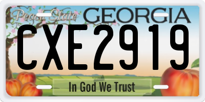 GA license plate CXE2919