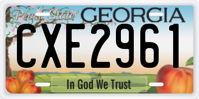 GA license plate CXE2961