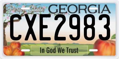 GA license plate CXE2983