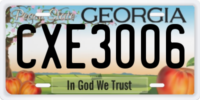 GA license plate CXE3006