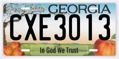 GA license plate CXE3013
