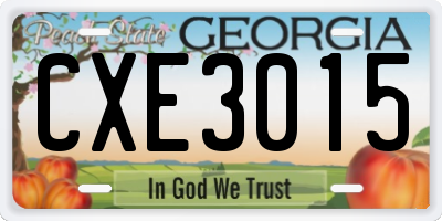GA license plate CXE3015