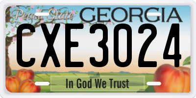 GA license plate CXE3024