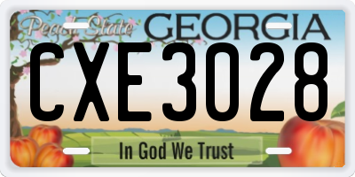 GA license plate CXE3028