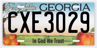 GA license plate CXE3029