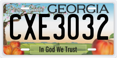 GA license plate CXE3032