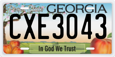 GA license plate CXE3043