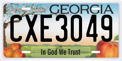 GA license plate CXE3049