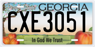GA license plate CXE3051