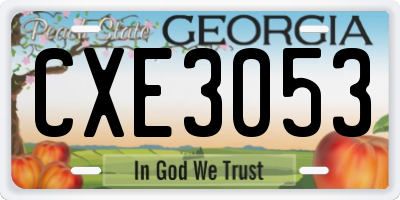 GA license plate CXE3053