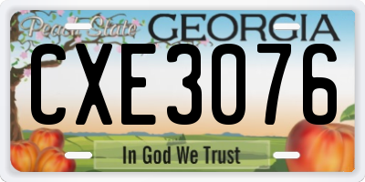 GA license plate CXE3076