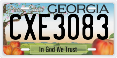 GA license plate CXE3083