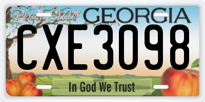 GA license plate CXE3098