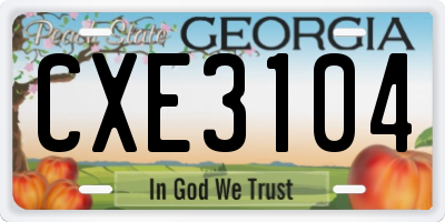 GA license plate CXE3104