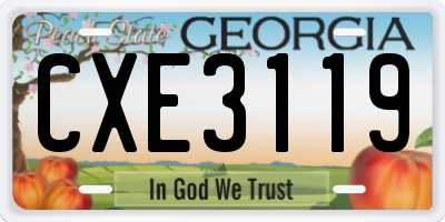 GA license plate CXE3119