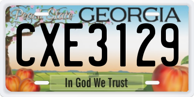 GA license plate CXE3129