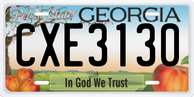 GA license plate CXE3130