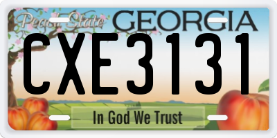GA license plate CXE3131