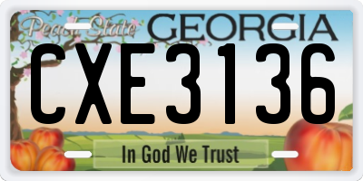 GA license plate CXE3136