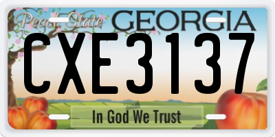 GA license plate CXE3137