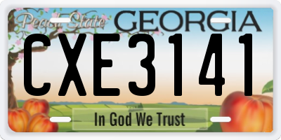 GA license plate CXE3141