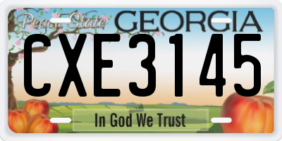 GA license plate CXE3145