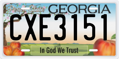 GA license plate CXE3151