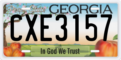 GA license plate CXE3157