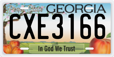 GA license plate CXE3166
